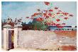 Wall, Nassau, C.1898 by Winslow Homer Limited Edition Print