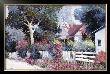 Cottonwood Lane by Kent Wallis Limited Edition Print