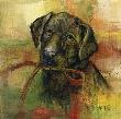 Black Lab by Jamie Carter Limited Edition Print