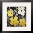 Flowers (Yellow And White), C.1966 by Andy Warhol Limited Edition Print