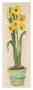 Dazzling Daffs by Hazel Burrows Limited Edition Pricing Art Print