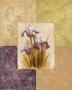 Amethyst Iris by Vivian Flasch Limited Edition Pricing Art Print
