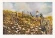 Picking Daisies by Carolyn Blish Limited Edition Pricing Art Print