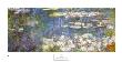 Water Lilies, Right Detail, C.1914-18 by Claude Monet Limited Edition Print