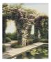 Rose Arbor by Edward Szmyd Limited Edition Pricing Art Print