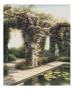 Rose Arbor by Edward Szmyd Limited Edition Print