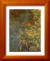 Irises, 1914-17 by Claude Monet Limited Edition Print