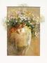 Flowers In Pot Ii by Willem Haenraets Limited Edition Print