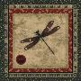 Red Dragonfly Ii by Sally Ray Cairns Limited Edition Print