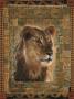 Lion by Rob Hefferan Limited Edition Pricing Art Print