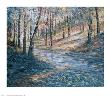 Hidden Path by Michael Schofield Limited Edition Print