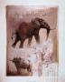 Elephant by Kim Donaldson Limited Edition Print