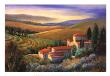 Tuscan Light Iii by Carol Jessen Limited Edition Print