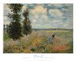 Les Coquelicots, Environs D'argenteuil by Claude Monet Limited Edition Print