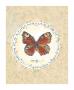 Butterfly by Lorraine Brewer Limited Edition Print