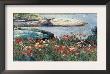 Poppies, Isle Of Shoals by Childe Hassam Limited Edition Pricing Art Print
