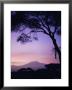 Sunrise, Mount Kilimanjaro, Amboseli National Park, Kenya, East Africa, Africa by David Poole Limited Edition Print