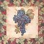 Vitis Vinifera I by Debra Swartzendruber Limited Edition Print