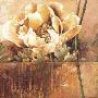 Rustic Garden Ii by Linda Thompson Limited Edition Print