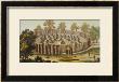 Village Of An Indigenous Tribe In Florida by John White Limited Edition Print