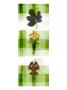 Panels Xi by Miguel Paredes Limited Edition Print
