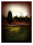 Green Dusk I by Miguel Paredes Limited Edition Print