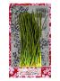 Chives by Miguel Paredes Limited Edition Pricing Art Print