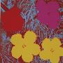 Flowers, C.1970 (1 Red, 1 Pink, 2 Yellow) by Andy Warhol Limited Edition Print