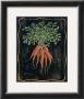 Bouquet Of Carrots by Janet Kruskamp Limited Edition Print