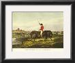 The English Hunt Viii by Henry Alken Limited Edition Print