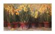 Janine's Daffodils by Carol Rowan Limited Edition Print