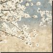 Cherry Blossoms Ii by John Seba Limited Edition Pricing Art Print