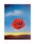 Rose Medidative, C.1958 by Salvador Dali Limited Edition Pricing Art Print