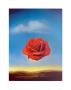 Rose Medidative, C.1958 by Salvador Dalí Limited Edition Pricing Art Print