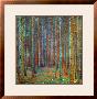 Tannenwald (Pine Forest), 1902 by Gustav Klimt Limited Edition Print
