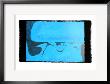 Blue Frost by Thomas F. Meehan Limited Edition Pricing Art Print