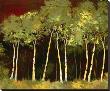 Birches Two by Susanne Darius Limited Edition Print