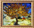 Mulberry Tree, C.1889 by Vincent Van Gogh Limited Edition Pricing Art Print