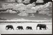 Elephants And Clouds by Andy Biggs Limited Edition Print