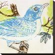 Bluebird by Swan Papel Limited Edition Print