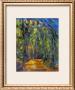Bend In The Forest Road, 1902-1906 by Paul Cezanne Limited Edition Print