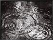 Raindrops Falling Formering Circular Shapes by Images Monsoon Limited Edition Print