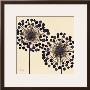 Lilac Bubble Duo by Alan Buckle Limited Edition Print