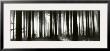 Helmut Hirler Pricing Limited Edition Prints