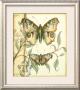 Tandem Butterflies I by Jennifer Goldberger Limited Edition Pricing Art Print