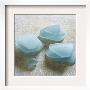 Sea Glass, Soft Blue by Celia Pearson Limited Edition Pricing Art Print