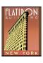 Flatiron Building by Brian James Limited Edition Print