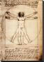 Vitruvian Man, C.1492 by Leonardo Da Vinci Limited Edition Print