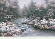 River Cascade by Diane Romanello Limited Edition Pricing Art Print