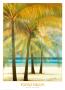 Topaz Palms by Robert Holman Limited Edition Print